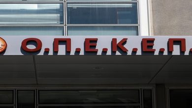 Χρυσοχοΐδης για ΟΠΕΚΕΠΕ: Εντοπίστηκαν 1.036 ΑΦΜ